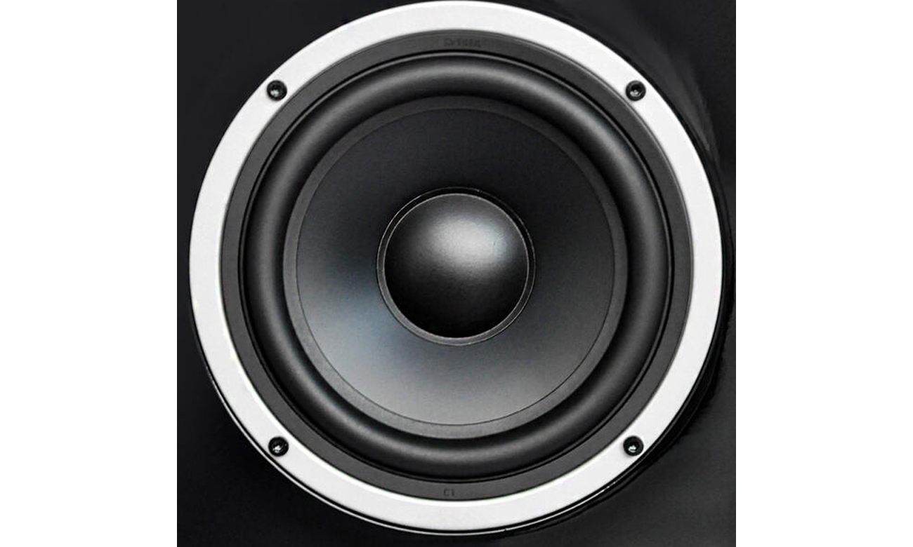 Kolumna Wilson RAPTOR 9 MAX czarna