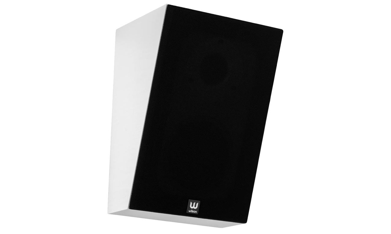 Wilson RAPTOR X widok z przodu, maskownica
