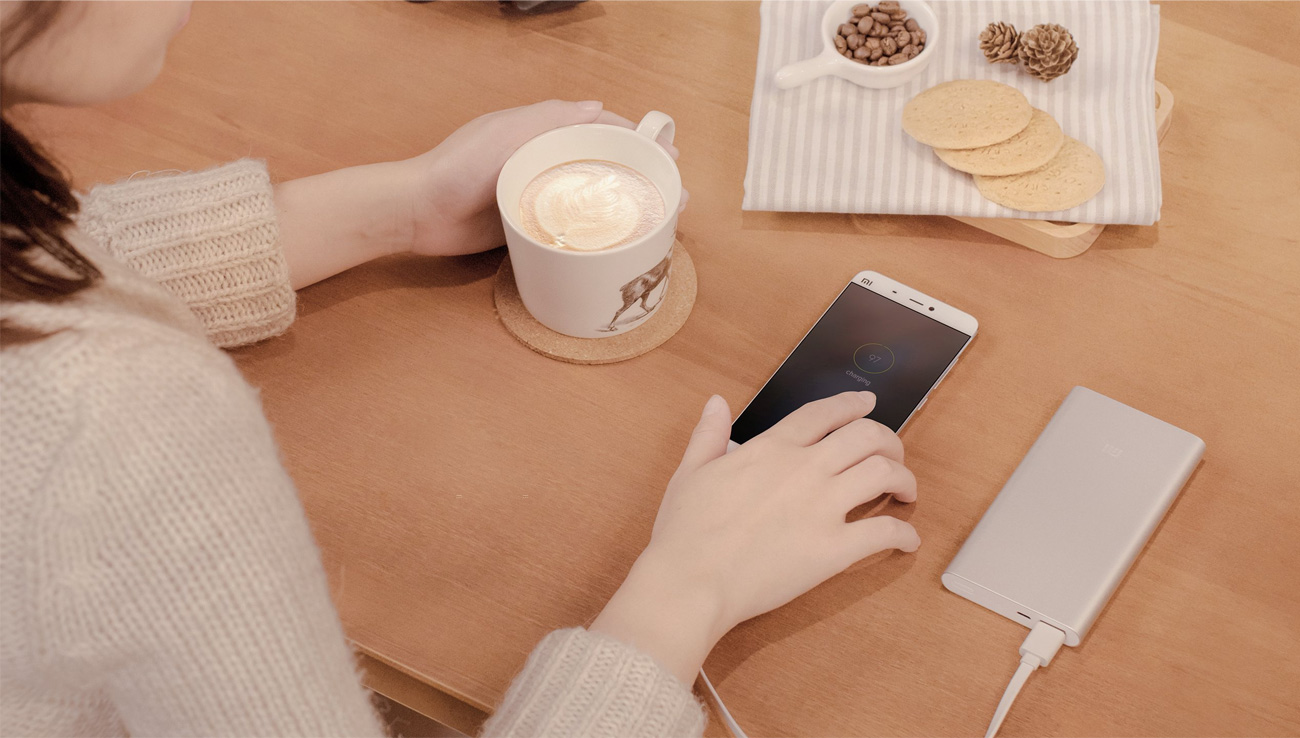 Xiaomi Power Bank 2 10000 mAh