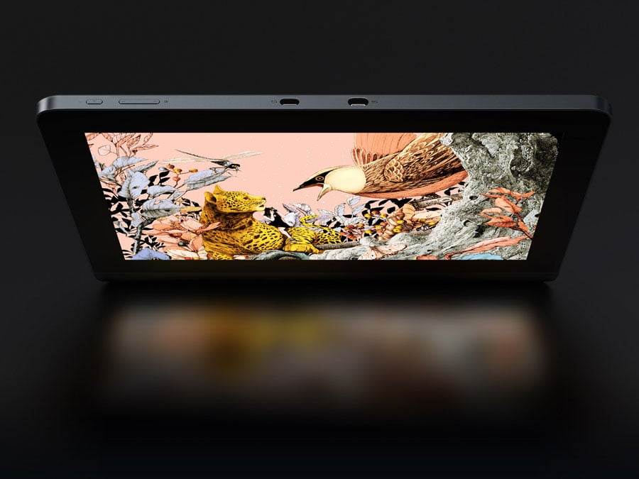 XP-Pen Artist Pro 16 ekran