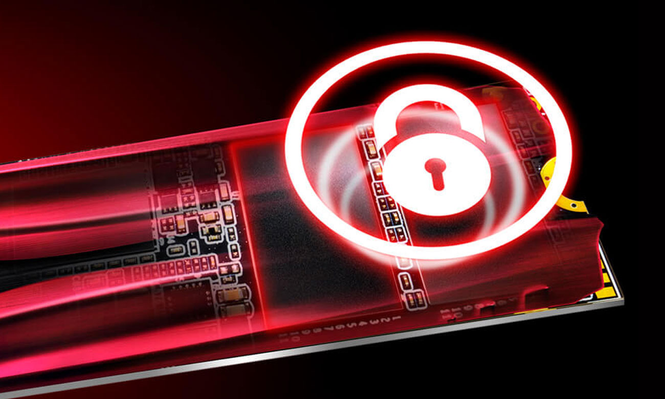 XPG GAMMIX S10 SLC, DRAM, LDPC, RAID Engine, Data Shaping
