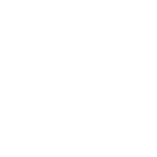 Ikona kontroli temperatury Xtorm
