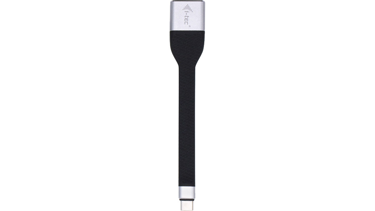 i-tec C31FLATDP60HZ